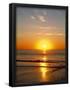 Essential Black