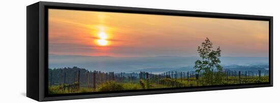 Sunrise over the vineyards of Tuscany. Tuscany, Italy.-Tom Norring-Framed Stretched Canvas