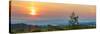 Sunrise over the vineyards of Tuscany. Tuscany, Italy.-Tom Norring-Stretched Canvas