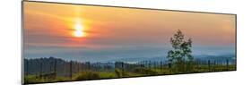 Sunrise over the vineyards of Tuscany. Tuscany, Italy.-Tom Norring-Mounted Photographic Print