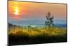 Sunrise over the vineyards of Tuscany. Tuscany, Italy.-Tom Norring-Mounted Photographic Print