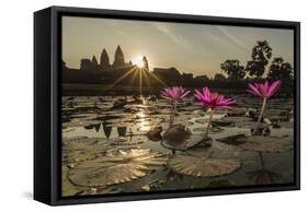 Sunrise over the West Entrance to Angkor Wat, Angkor, Siem Reap, Cambodia-Michael Nolan-Framed Stretched Canvas