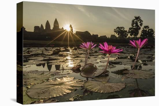 Sunrise over the West Entrance to Angkor Wat, Angkor, Siem Reap, Cambodia-Michael Nolan-Stretched Canvas