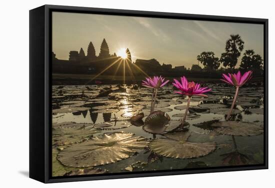 Sunrise over the West Entrance to Angkor Wat, Angkor, Siem Reap, Cambodia-Michael Nolan-Framed Stretched Canvas