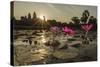 Sunrise over the West Entrance to Angkor Wat, Angkor, Siem Reap, Cambodia-Michael Nolan-Stretched Canvas
