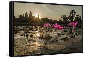 Sunrise over the West Entrance to Angkor Wat, Angkor, Siem Reap, Cambodia-Michael Nolan-Framed Stretched Canvas