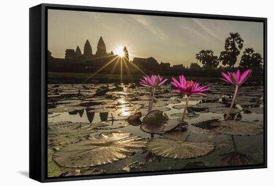 Sunrise over the West Entrance to Angkor Wat, Angkor, Siem Reap, Cambodia-Michael Nolan-Framed Stretched Canvas