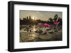 Sunrise over the West Entrance to Angkor Wat, Angkor, Siem Reap, Cambodia-Michael Nolan-Framed Photographic Print