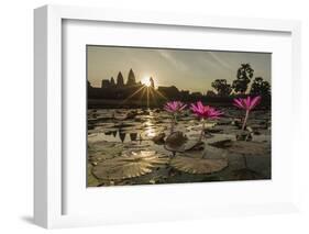 Sunrise over the West Entrance to Angkor Wat, Angkor, Siem Reap, Cambodia-Michael Nolan-Framed Photographic Print