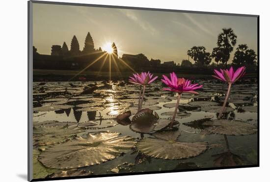 Sunrise over the West Entrance to Angkor Wat, Angkor, Siem Reap, Cambodia-Michael Nolan-Mounted Photographic Print