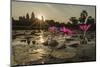 Sunrise over the West Entrance to Angkor Wat, Angkor, Siem Reap, Cambodia-Michael Nolan-Mounted Premium Photographic Print