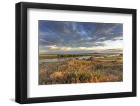 Sunrise over the Yellowstone River near Terry, Montana, USA-Chuck Haney-Framed Photographic Print