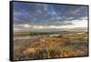 Sunrise over the Yellowstone River near Terry, Montana, USA-Chuck Haney-Framed Stretched Canvas