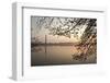 Sunrise over Tidal Basin-Richard T. Nowitz-Framed Photographic Print