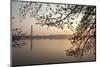 Sunrise over Tidal Basin-Richard T. Nowitz-Mounted Photographic Print