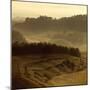 Sunrise over Tuscany III-Shelley Lake-Mounted Photographic Print