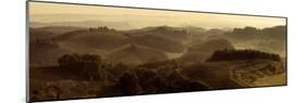Sunrise over Tuscany-Shelley Lake-Mounted Photographic Print