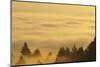 Sunrise over Valley, Oregon, USA-Craig Tuttle-Mounted Photographic Print