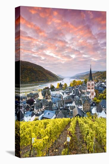 Sunrise over Vineyards, Bacharach, Rhineland-Palatinate, Germany-Matteo Colombo-Stretched Canvas