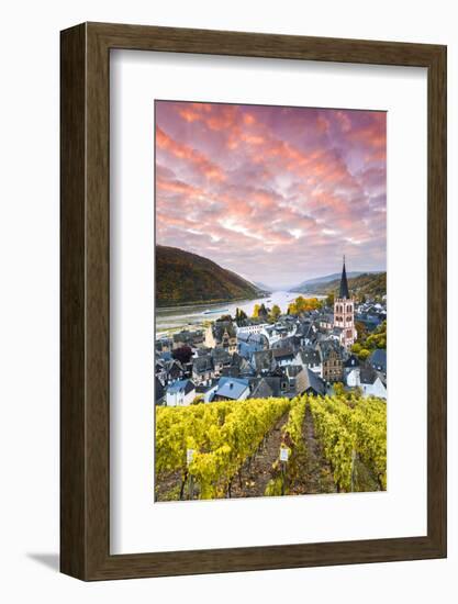 Sunrise over Vineyards, Bacharach, Rhineland-Palatinate, Germany-Matteo Colombo-Framed Photographic Print