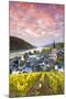 Sunrise over Vineyards, Bacharach, Rhineland-Palatinate, Germany-Matteo Colombo-Mounted Photographic Print