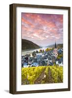 Sunrise over Vineyards, Bacharach, Rhineland-Palatinate, Germany-Matteo Colombo-Framed Photographic Print