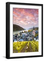 Sunrise over Vineyards, Bacharach, Rhineland-Palatinate, Germany-Matteo Colombo-Framed Photographic Print