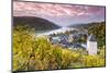 Sunrise over Vineyards, Bacharach, Rhineland-Palatinate, Germany-Matteo Colombo-Mounted Photographic Print