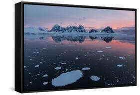 Sunrise over Wiencke Island in the Neumayer Channel, Antarctica, Polar Regions-Michael Nolan-Framed Stretched Canvas