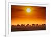 Sunrise parade-Jeffrey C. Sink-Framed Photographic Print