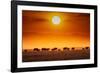 Sunrise parade-Jeffrey C. Sink-Framed Photographic Print