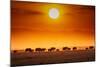 Sunrise parade-Jeffrey C. Sink-Mounted Photographic Print