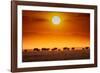 Sunrise parade-Jeffrey C. Sink-Framed Photographic Print