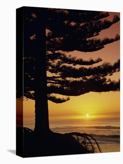 Sunrise, Pine Beach, Gisborne, East Coast, North Island, New Zealand, Pacific-Dominic Webster-Stretched Canvas