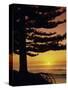 Sunrise, Pine Beach, Gisborne, East Coast, North Island, New Zealand, Pacific-Dominic Webster-Stretched Canvas