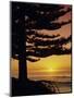 Sunrise, Pine Beach, Gisborne, East Coast, North Island, New Zealand, Pacific-Dominic Webster-Mounted Photographic Print