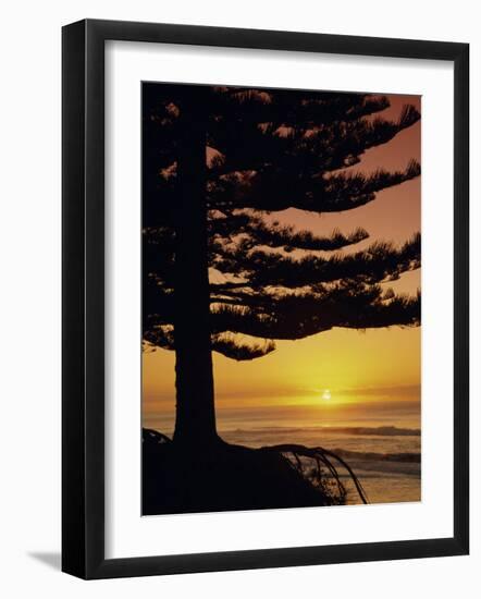 Sunrise, Pine Beach, Gisborne, East Coast, North Island, New Zealand, Pacific-Dominic Webster-Framed Photographic Print