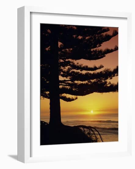 Sunrise, Pine Beach, Gisborne, East Coast, North Island, New Zealand, Pacific-Dominic Webster-Framed Photographic Print