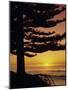 Sunrise, Pine Beach, Gisborne, East Coast, North Island, New Zealand, Pacific-Dominic Webster-Mounted Photographic Print