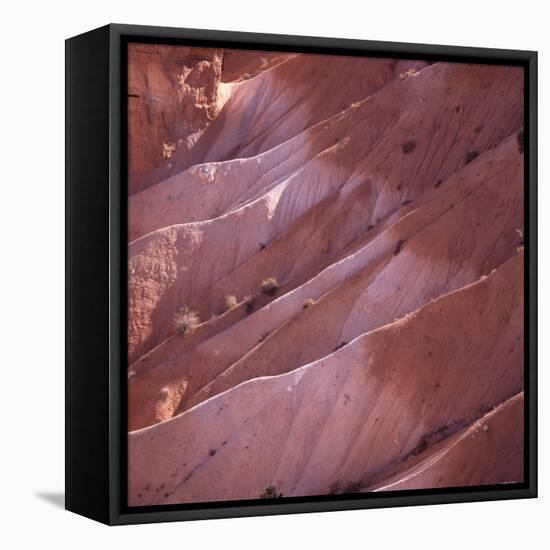 Sunrise Point, Bryce Canyon, Utah, USA-Paul C. Pet-Framed Stretched Canvas