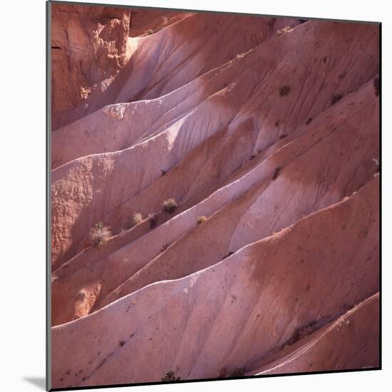 Sunrise Point, Bryce Canyon, Utah, USA-Paul C. Pet-Mounted Photographic Print