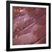 Sunrise Point, Bryce Canyon, Utah, USA-Paul C. Pet-Framed Photographic Print