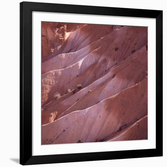 Sunrise Point, Bryce Canyon, Utah, USA-Paul C. Pet-Framed Photographic Print