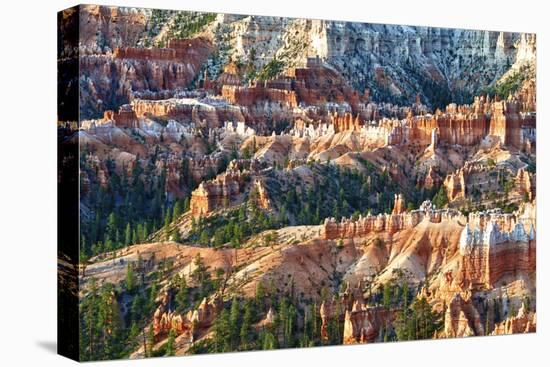 Sunrise Point - Utah - Bryce Canyon National Park - United States-Philippe Hugonnard-Stretched Canvas