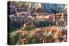 Sunrise Point - Utah - Bryce Canyon National Park - United States-Philippe Hugonnard-Stretched Canvas