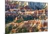 Sunrise Point - Utah - Bryce Canyon National Park - United States-Philippe Hugonnard-Mounted Photographic Print