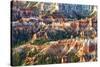 Sunrise Point - Utah - Bryce Canyon National Park - United States-Philippe Hugonnard-Stretched Canvas