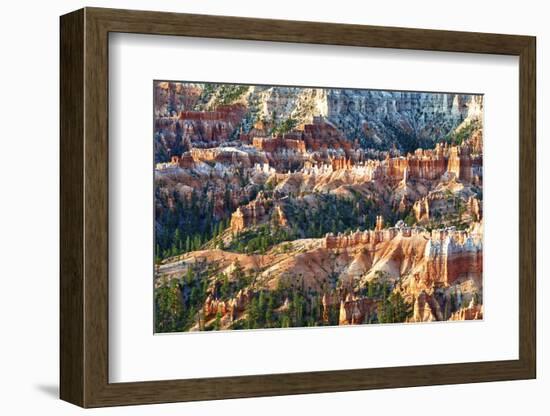 Sunrise Point - Utah - Bryce Canyon National Park - United States-Philippe Hugonnard-Framed Photographic Print