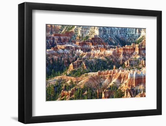 Sunrise Point - Utah - Bryce Canyon National Park - United States-Philippe Hugonnard-Framed Photographic Print