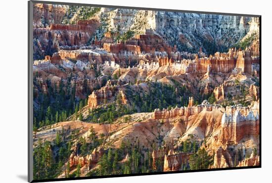 Sunrise Point - Utah - Bryce Canyon National Park - United States-Philippe Hugonnard-Mounted Photographic Print